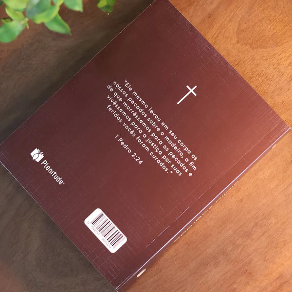 Bíblia Sagrada NVI | Capa Brochura Cruz Marrom