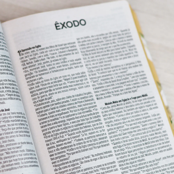 Biblia Sagrada Lirios | NVI | Capa Dura