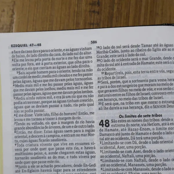 Bíblia Sagrada Missionária | ARA | Letra Normal | Capa Dura Litera