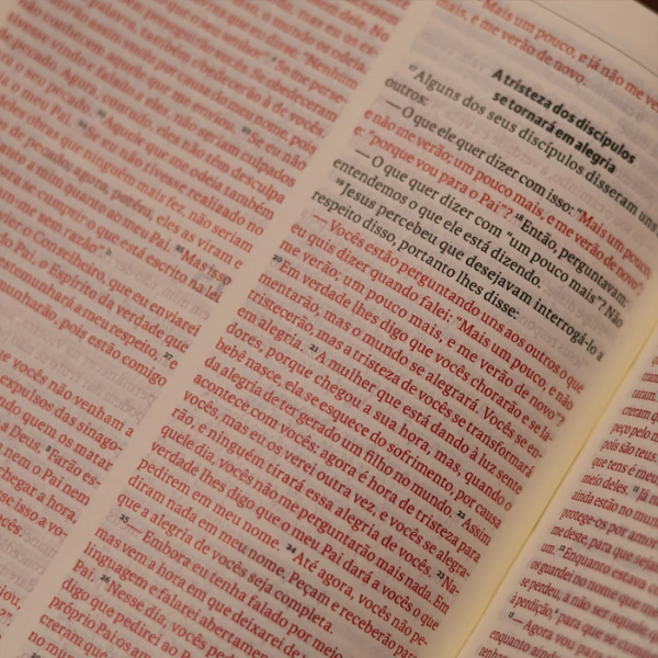 Biblia Sagrada Slim NVI Marrom