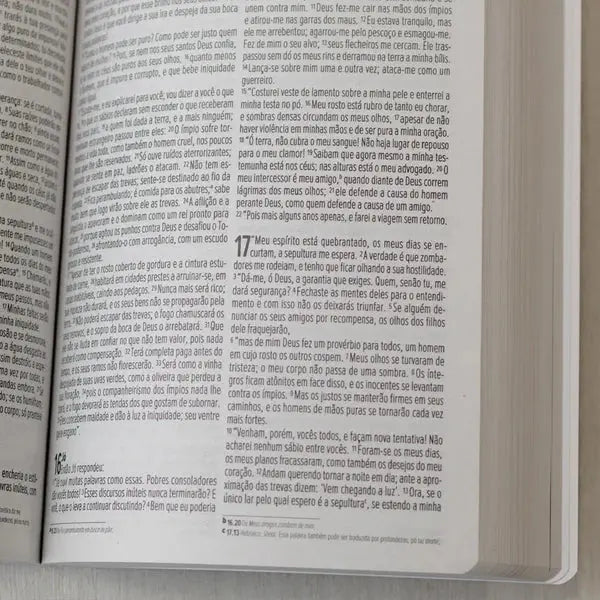 Bíblia no Banquinho | NVI | Brochura Evangelize Litera