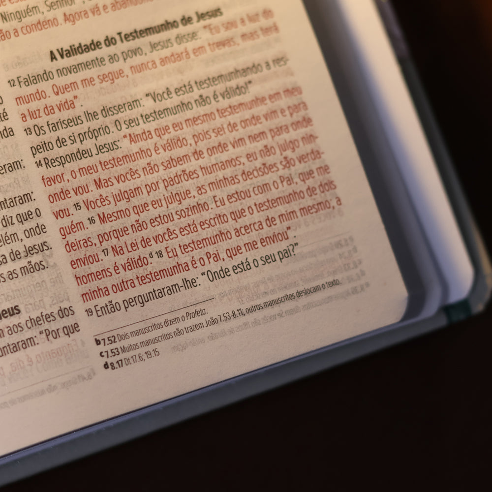 Detalhe das palavras de Jesus a vermelho na Bíblia NVI Lírios