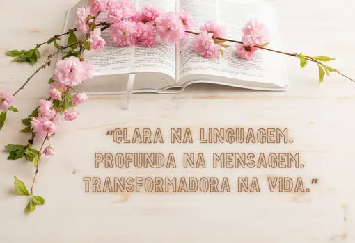 O que é a Tradução NVT e Porque tem Conquistado Tantos Eleitores? Litera.pt