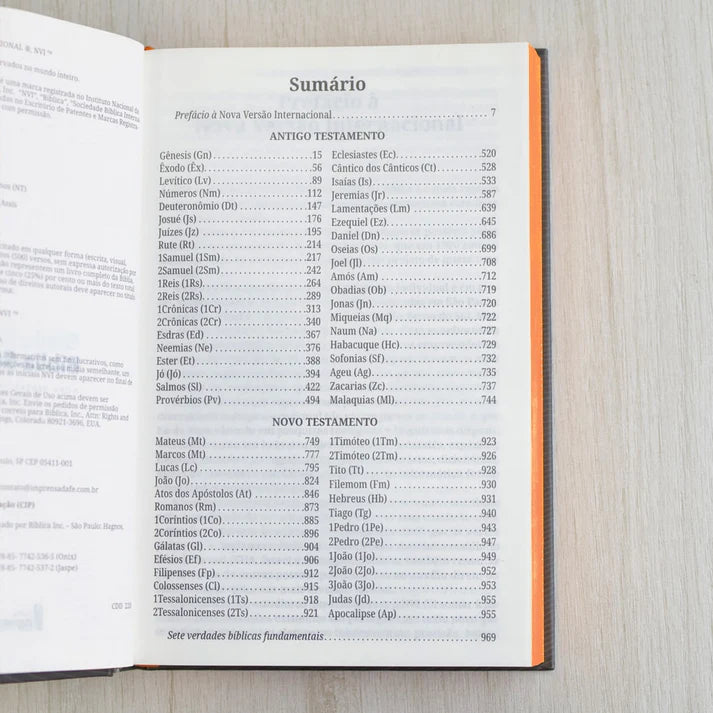 Bíblia Sagrada Neon Laranja | NVI | Capa Dura