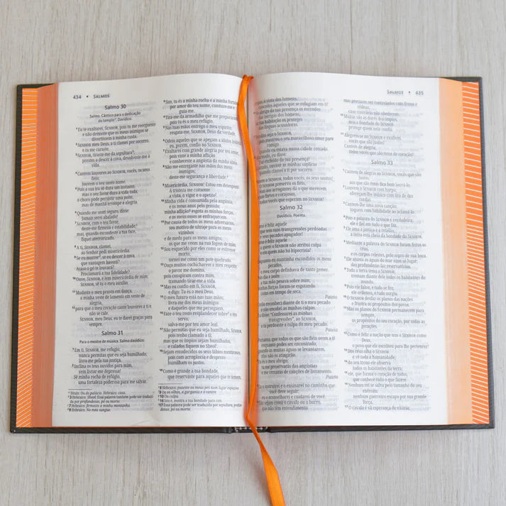 Bíblia Sagrada Neon Laranja | NVI | Capa Dura