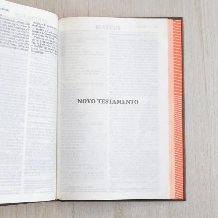 Bíblia Sagrada Neon Laranja | NVI | Capa Dura