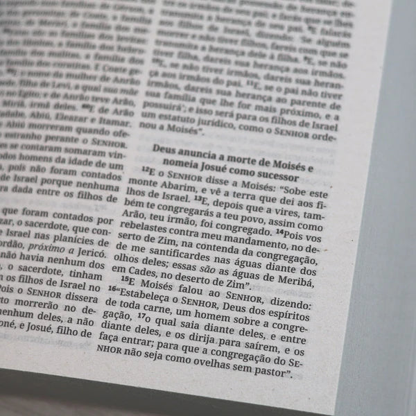 Bíblia Sagrada King James Clássica Flores | Letra Normal | Capa Brochura
