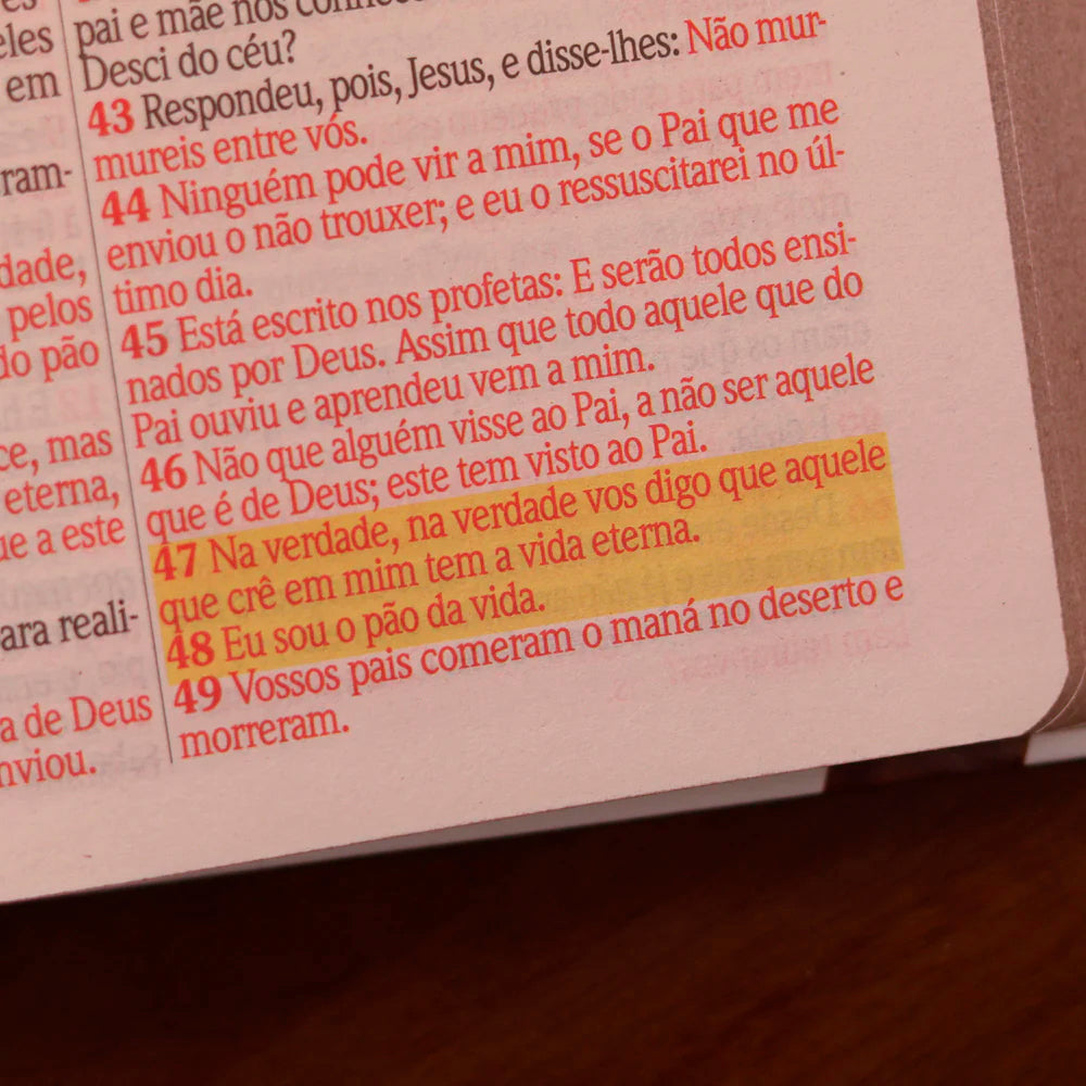 Detalhe das palavras de Jesus impressas a vermelho na Bíblia ARC letra jumbo