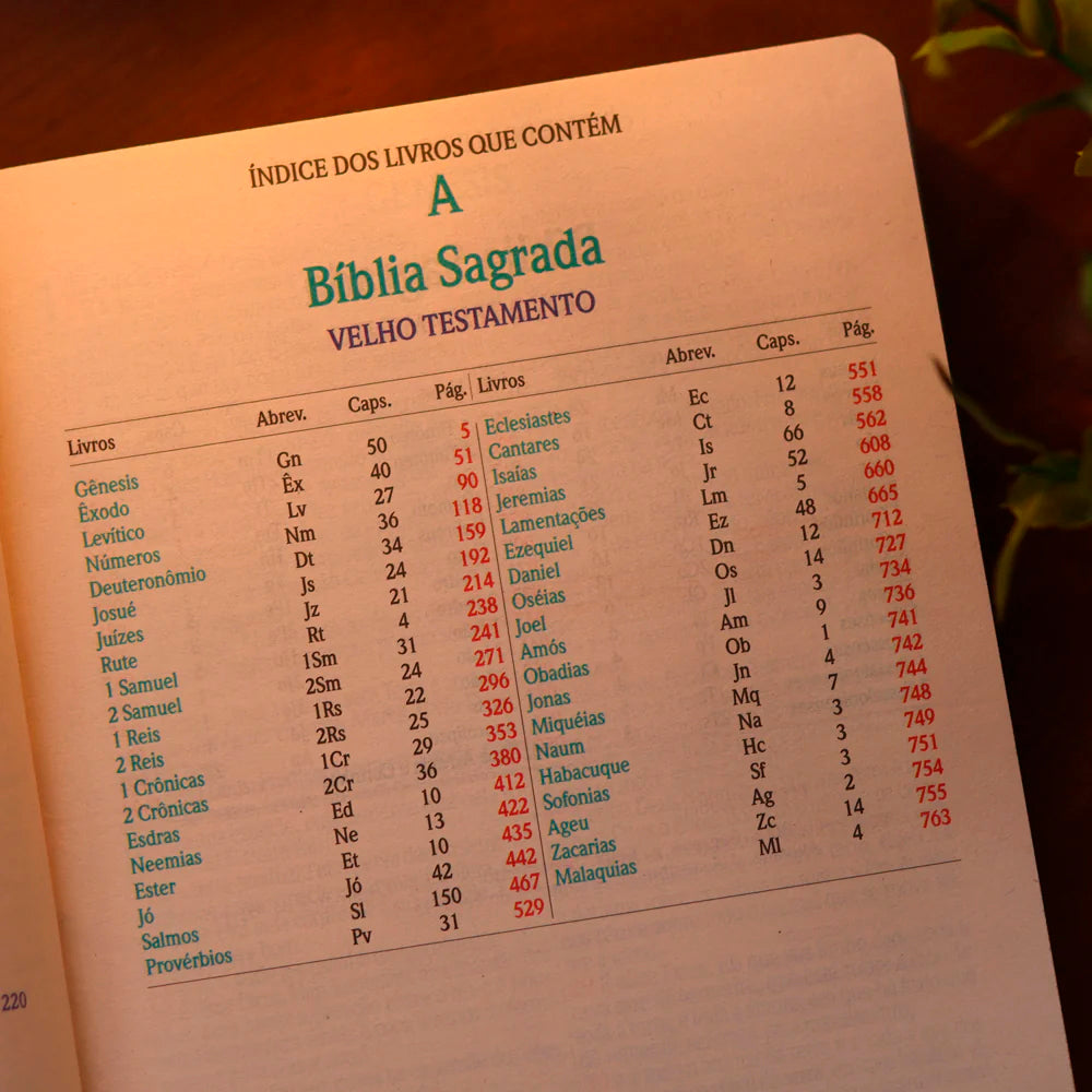 Índice dos livros do Antigo Testamento da Bíblia Sagrada ARC letra jumbo