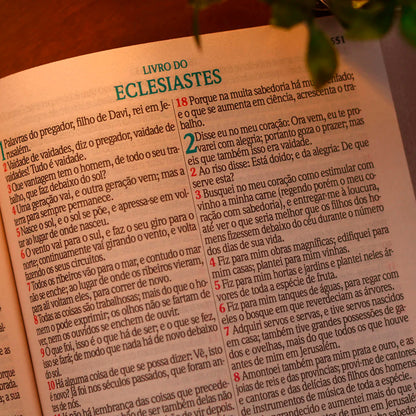 Abertura do livro de Eclesiastes em letra jumbo na Bíblia Sagrada ARC