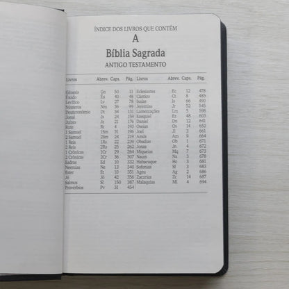 Bíblia Sagrada NVI Ele Vive | Letra Maior | Capa Dura Ilustrada