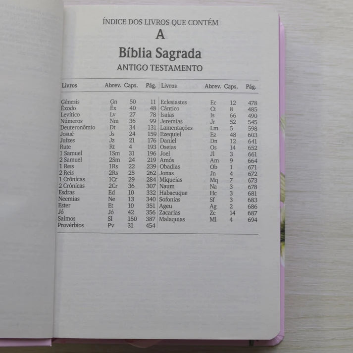 Bíblia Sagrada NVI Lírios | Letra Maior | Capa Dura Rosa