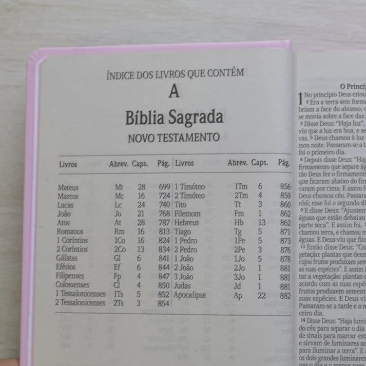 Bíblia Sagrada NVI Lírios | Letra Maior | Capa Dura Rosa
