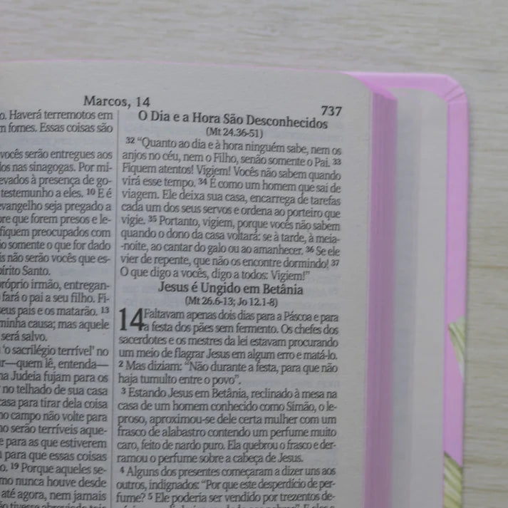 Bíblia Sagrada NVI Lírios | Letra Maior | Capa Dura Rosa