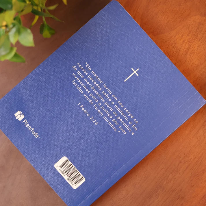 Bíblia Sagrada NVI | Capa Brochura Cruz Azul