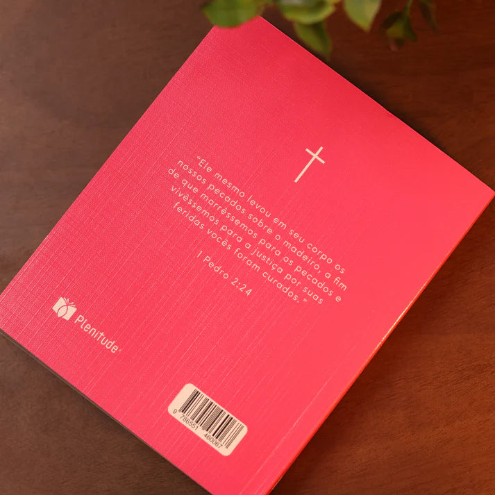 Bíblia Sagrada NVI | Capa Brochura Cruz Rosa