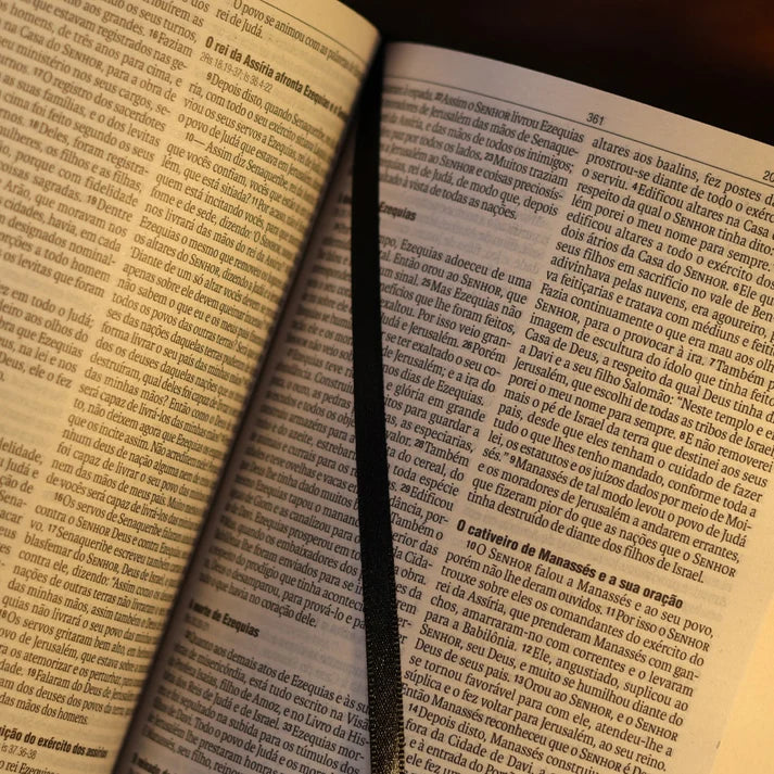 Bíblia Sagrada NAA Semear | Capa Dura Preta