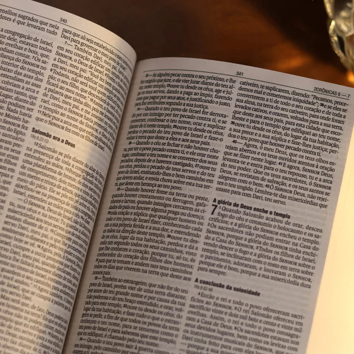 Bíblia Sagrada NAA Semear | Capa Dura Preta