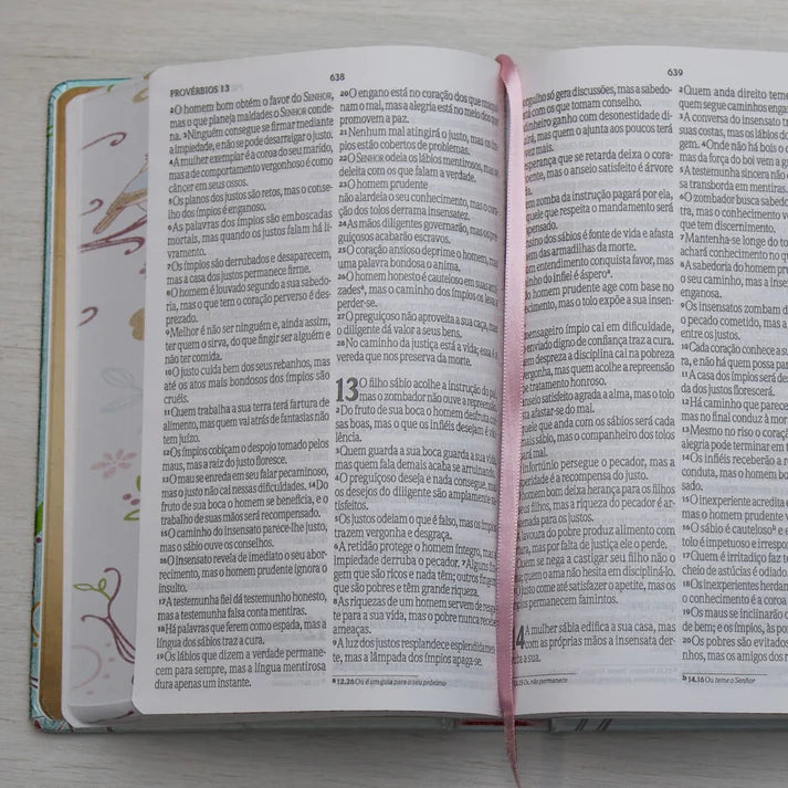 Bíblia Um Tempo Especial com Deus NVI | Letra Grande | Capa Dura Pássaros