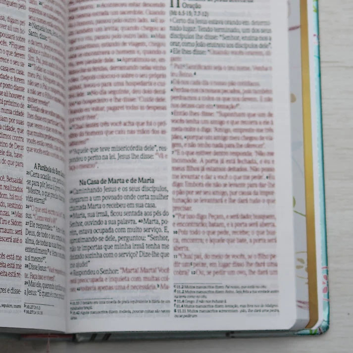 Bíblia Um Tempo Especial com Deus NVI | Letra Grande | Capa Dura Pássaros