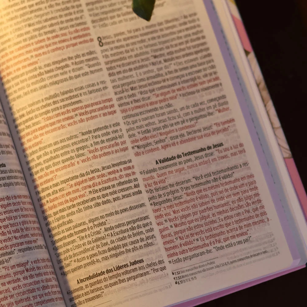 Bíblia Sagrada NVI Lírios | Letra Maior | Capa Dura Rosa