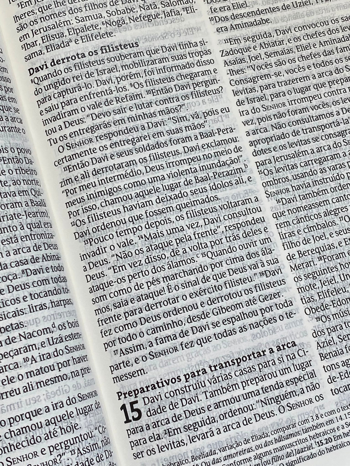 Bíblia NVT Slim  | Capa Couro Sintético Marrom - Letra Grande