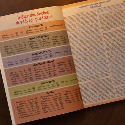 Índice das secções dos livros por cores da Bíblia NVA full color